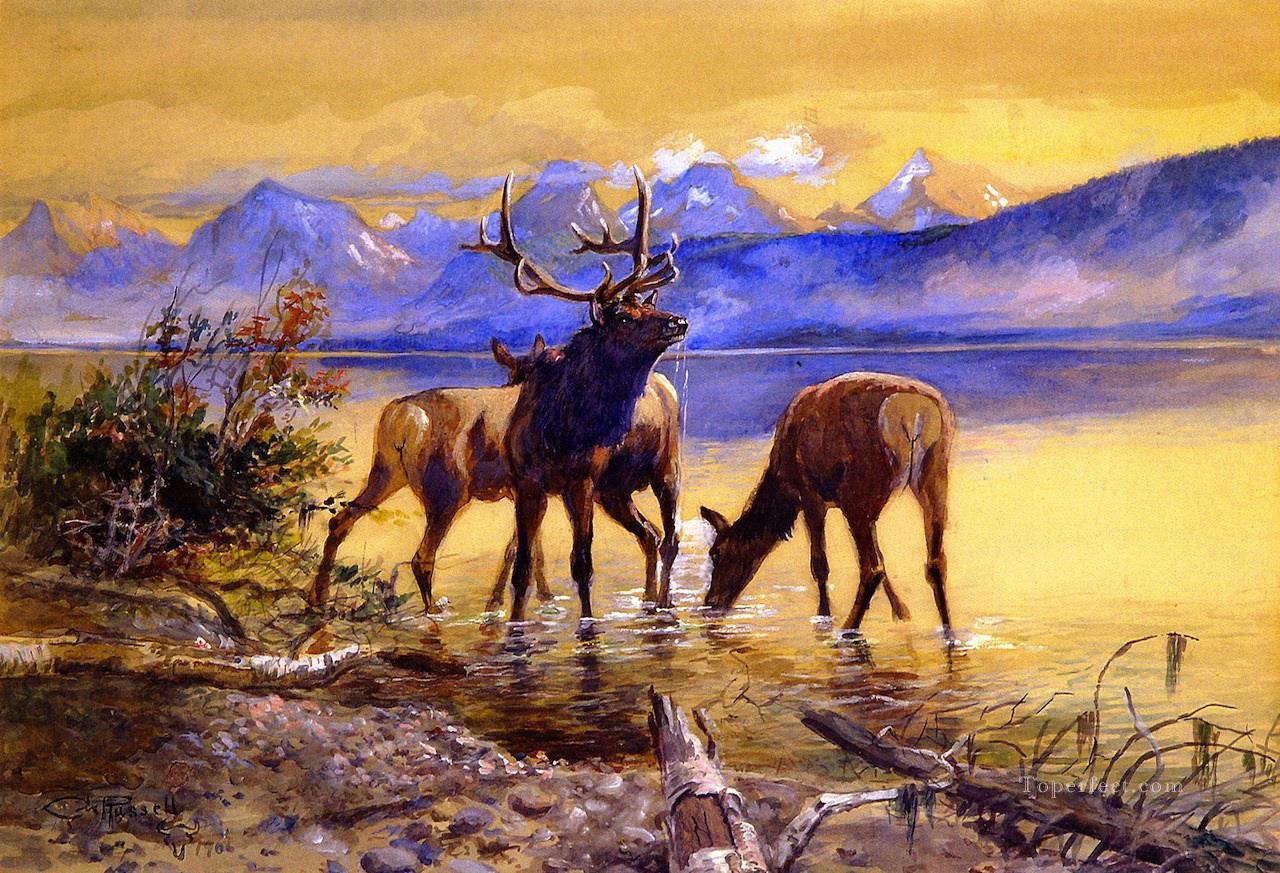 マクドナルド湖のヘラジカ 1906 チャールズ マリオン ラッセル鹿油絵